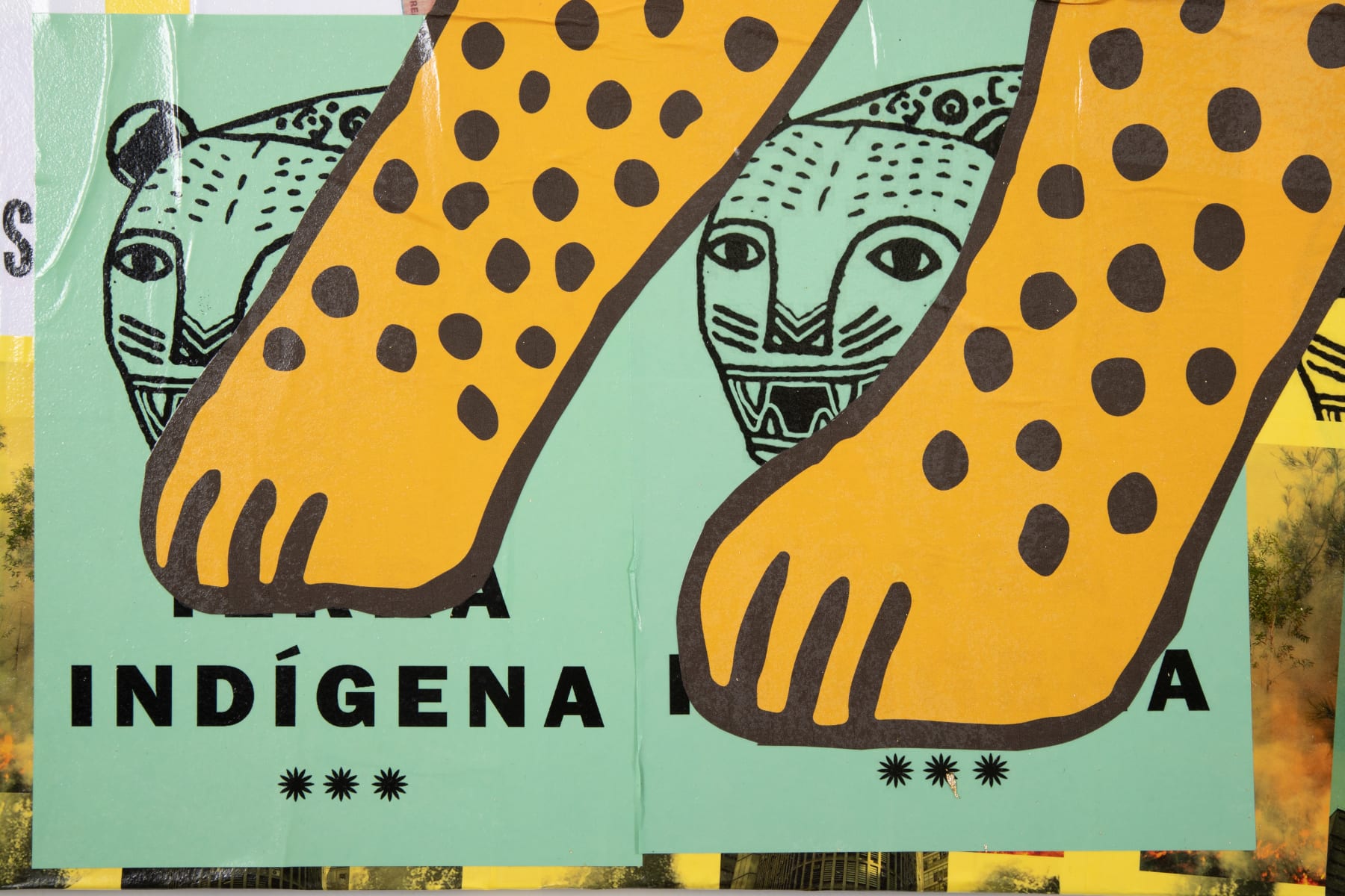 Denilson Baniwa, Brasil, Terra Indígena, 2022