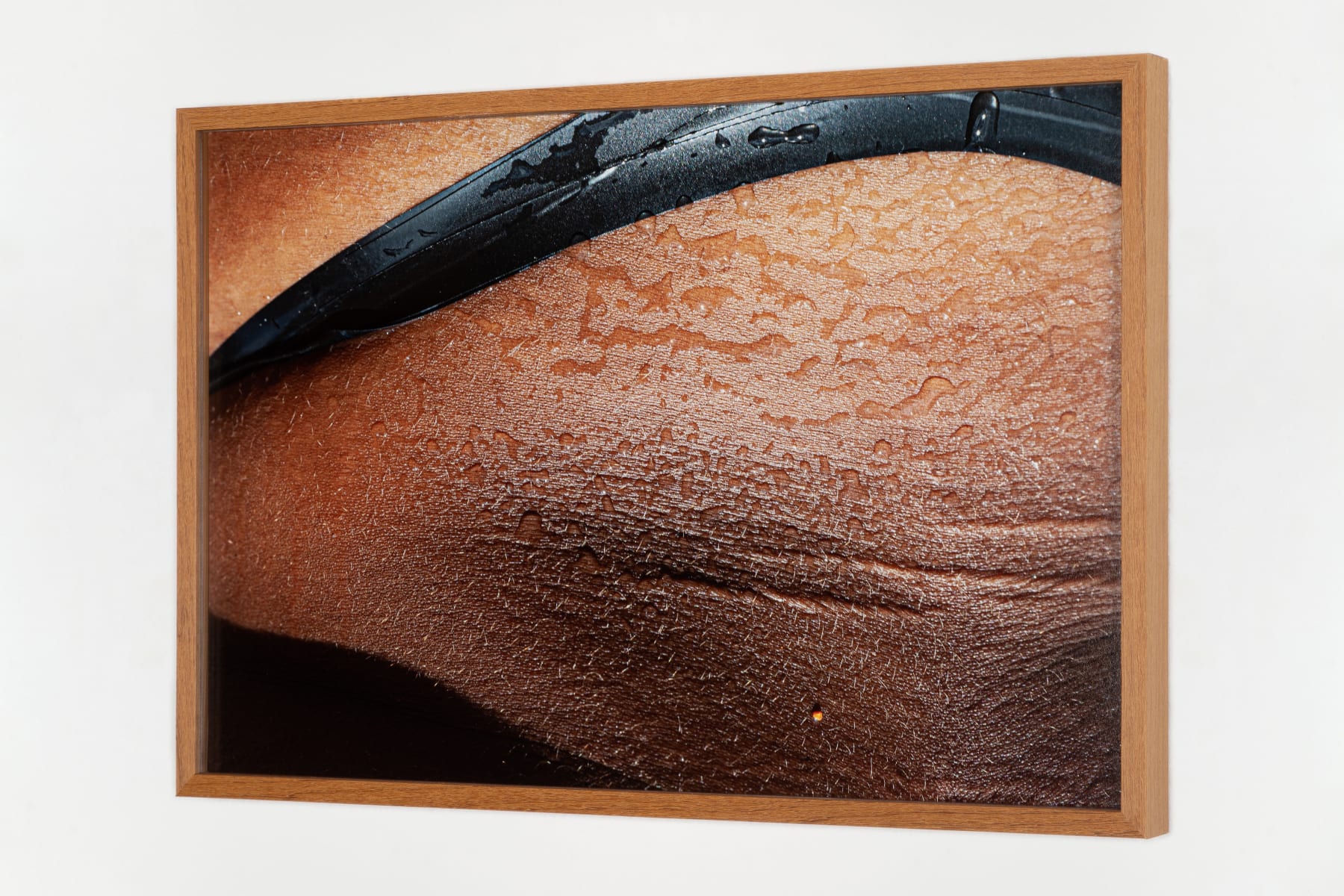 Agrade Camíz, Após a Curva Vire à Esquerda, 2023