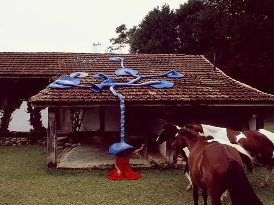 Maria Nepomuceno, A Casa em que nasci / The house where I was born, 2007