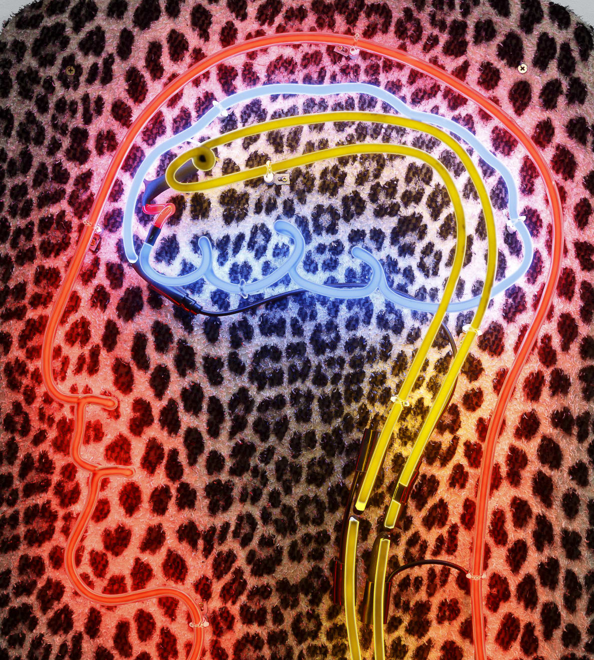 Cabelo, Sem título [Untitled], 2012