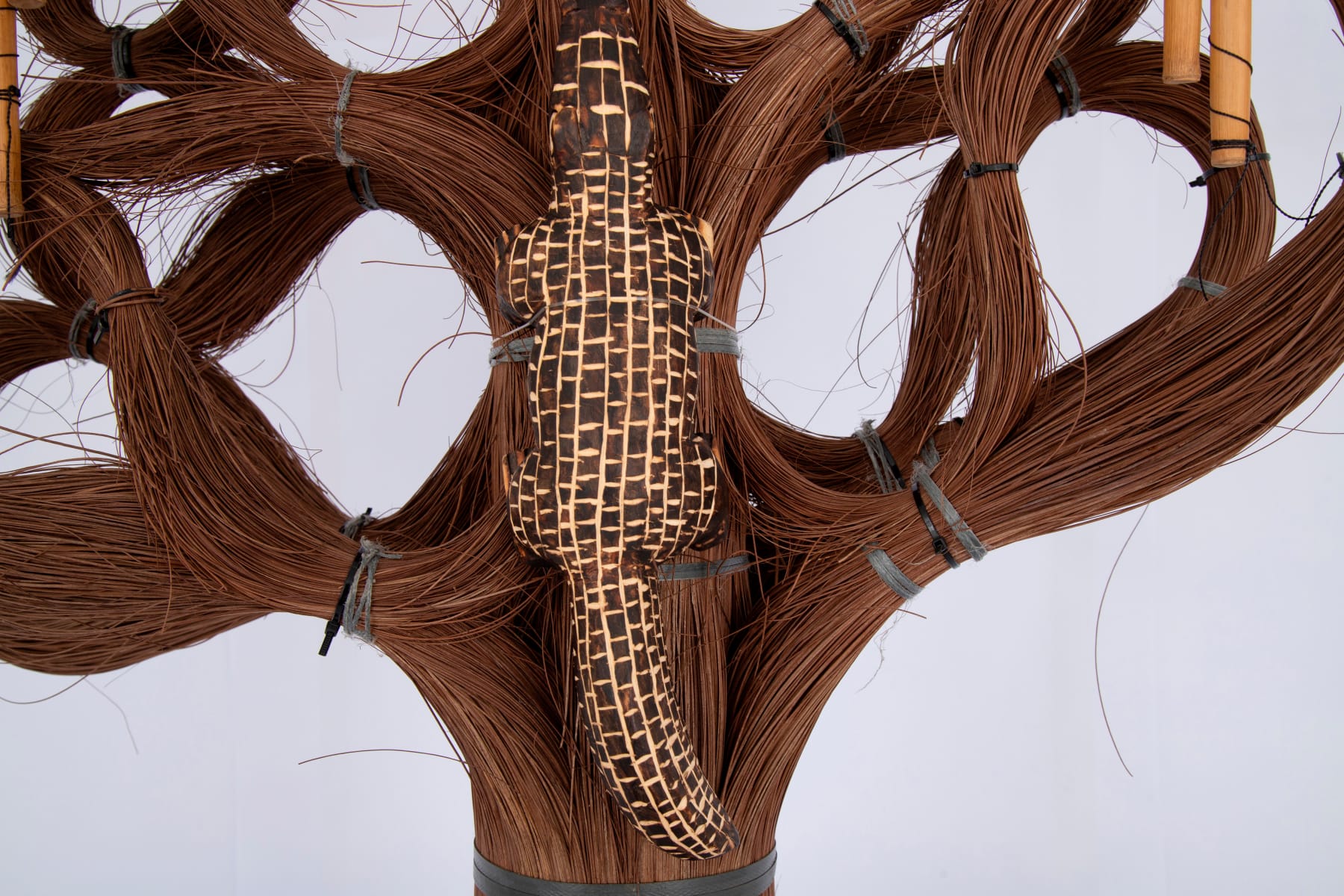 Denilson Baniwa, Piraíbas, 2022