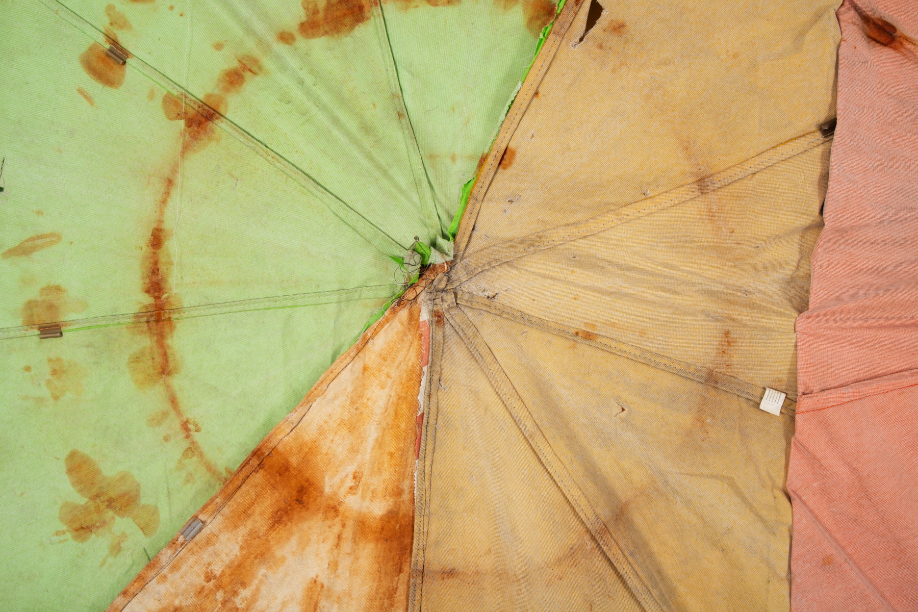 ABRE ALAS #17, Zé Tepedino, Avesso, 2020