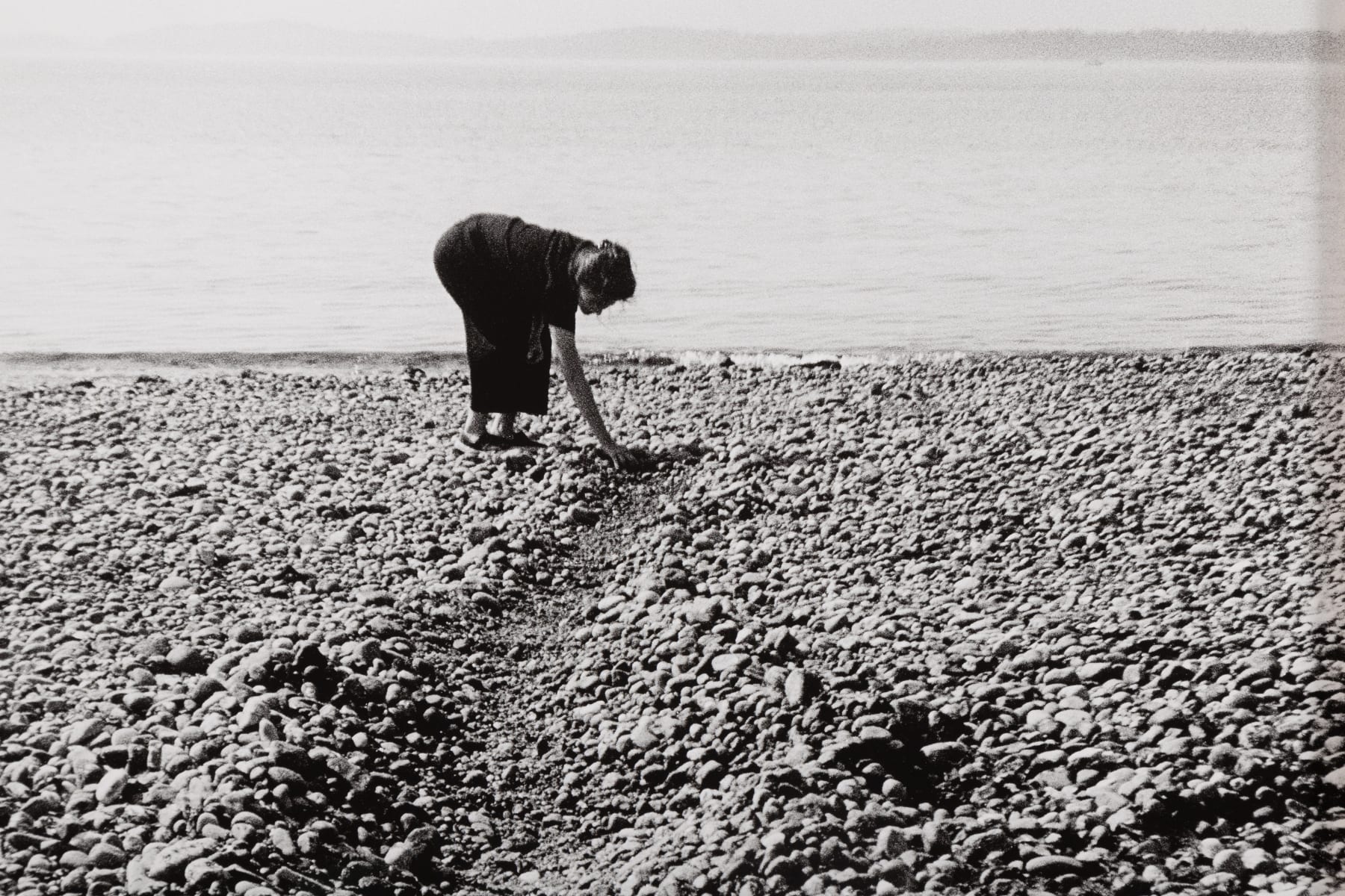 Maria Laet, Caminho sobre a Maré Baixa, 2022