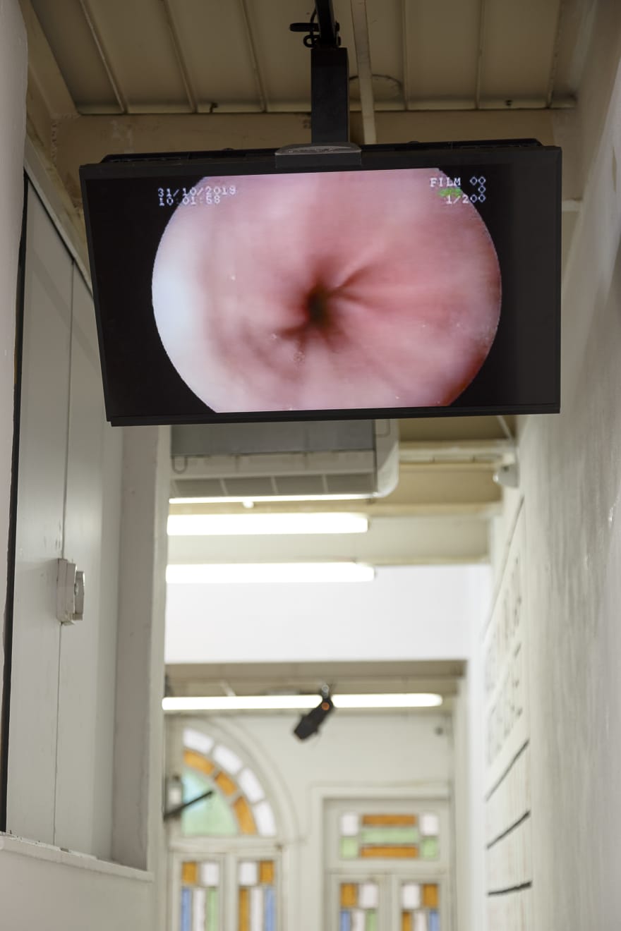 Aleta Valente, Cam Girl, 2019