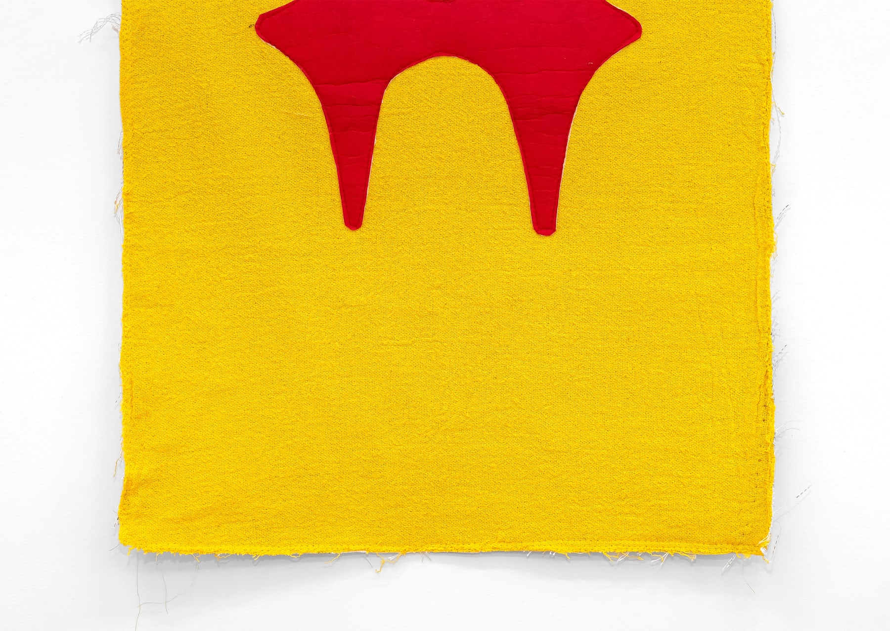 Lucas-K, Tecidos Impeachment, 2020-2022