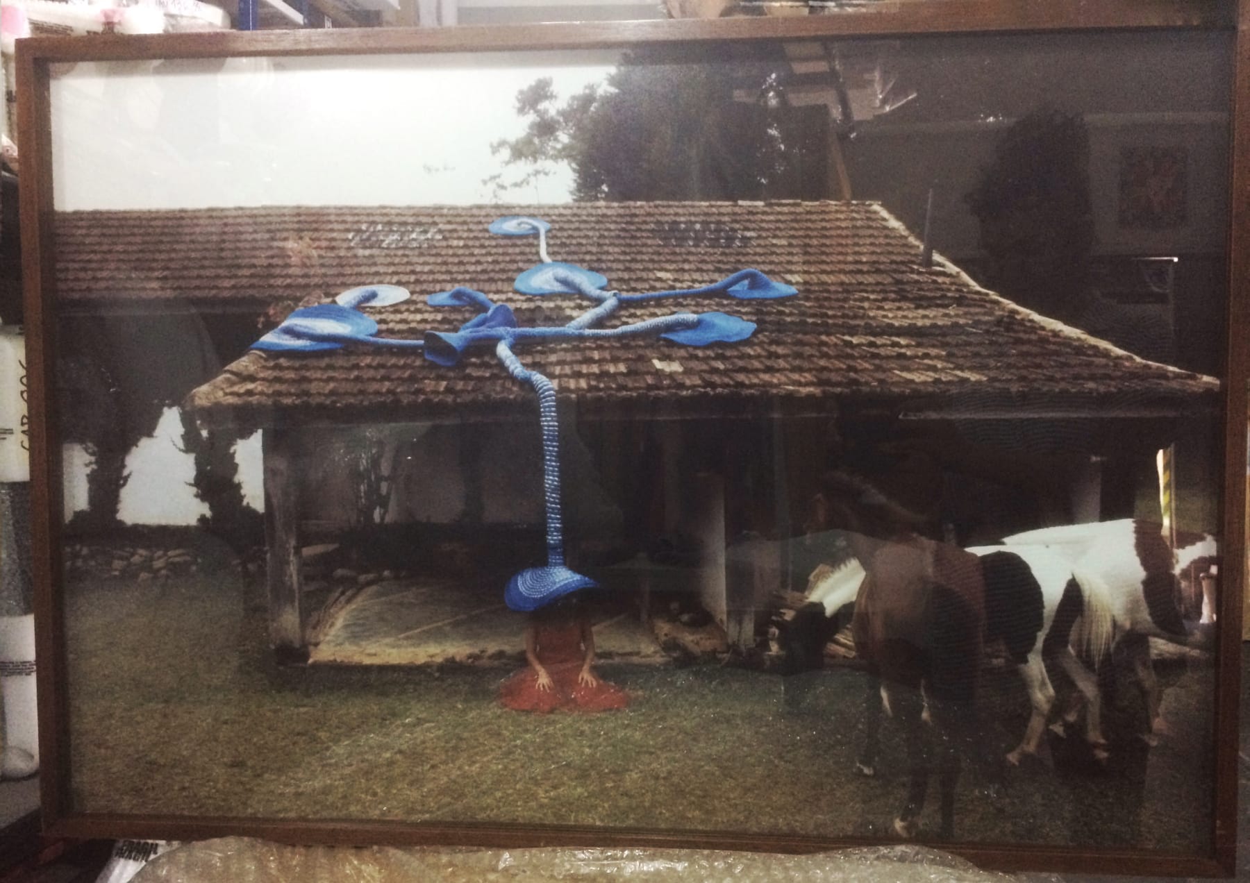 Maria Nepomuceno, A Casa em que nasci / The house where I was born, 2007