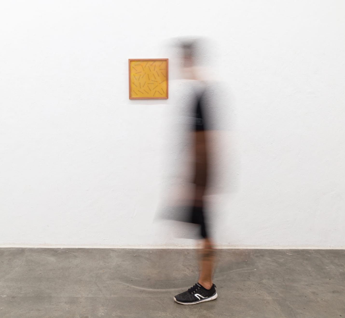 Aleta Valente, Beleza | Grampos, 2020