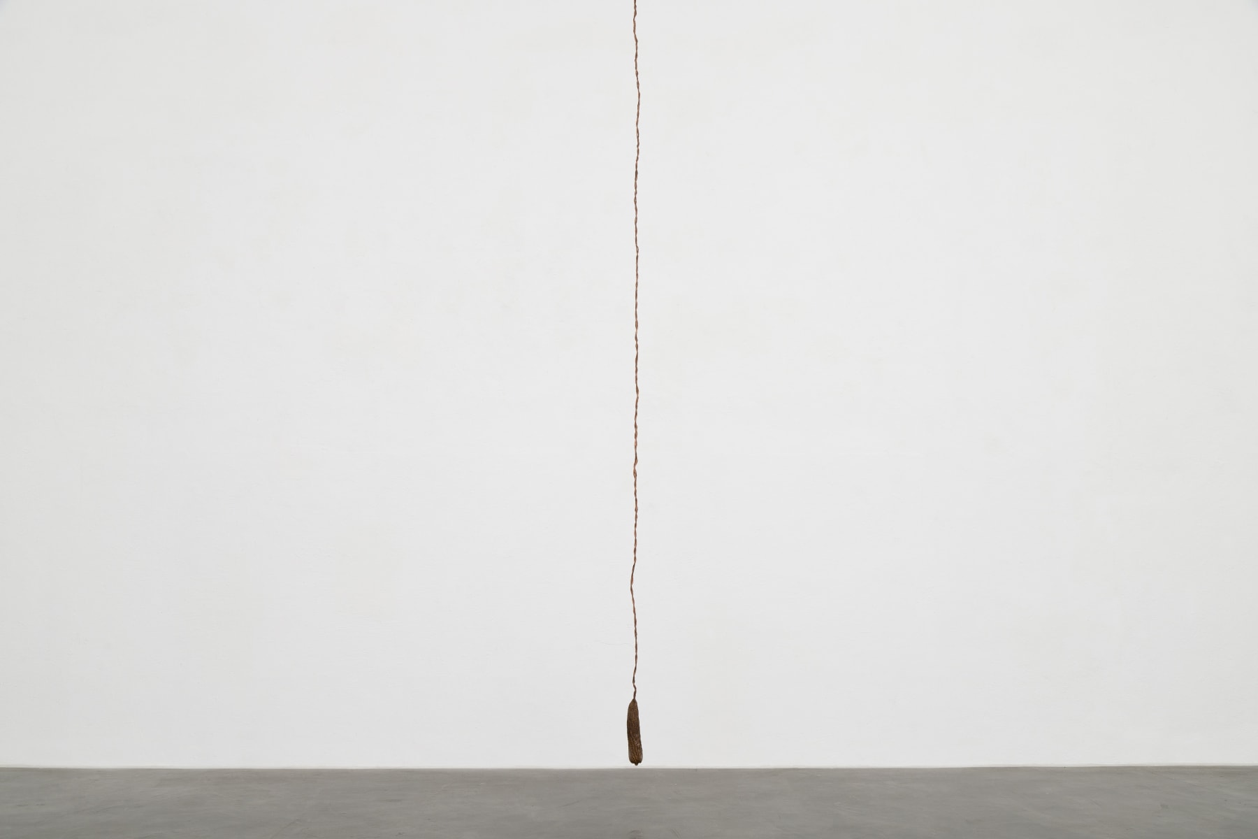 ABRE ALAS #18, Ana Bia Silva, Estigma, 2020