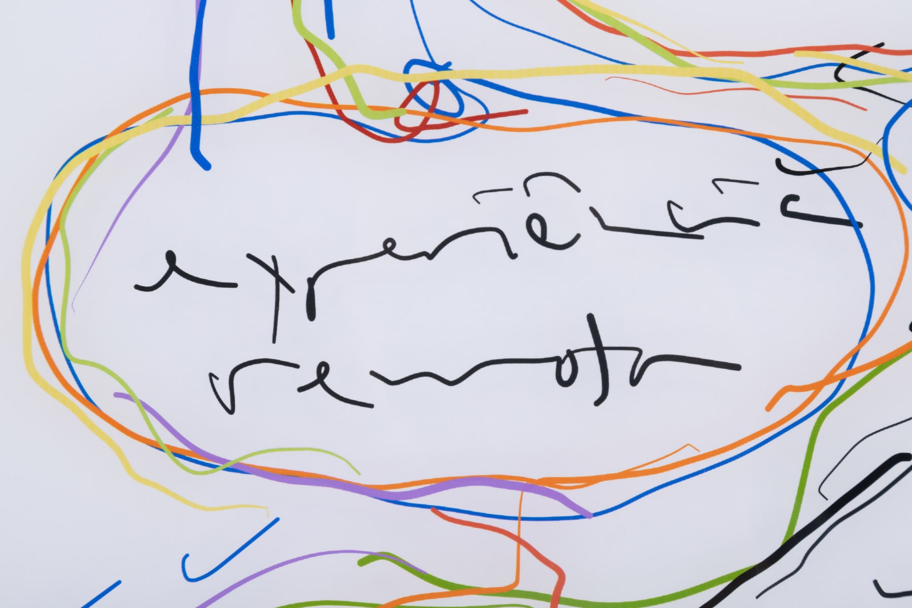 Ricardo Basbaum, Anotações 008 projeto NBP (contexto subhidroinfraentre), 2021