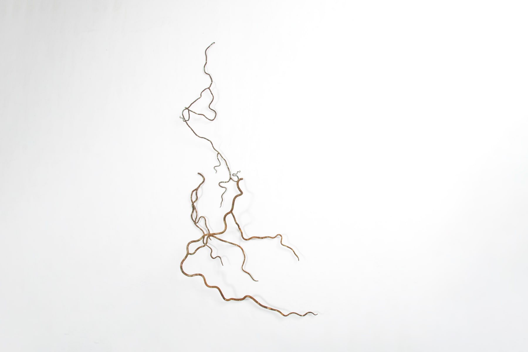 Rodrigo Torres, Vida na terra, 2022