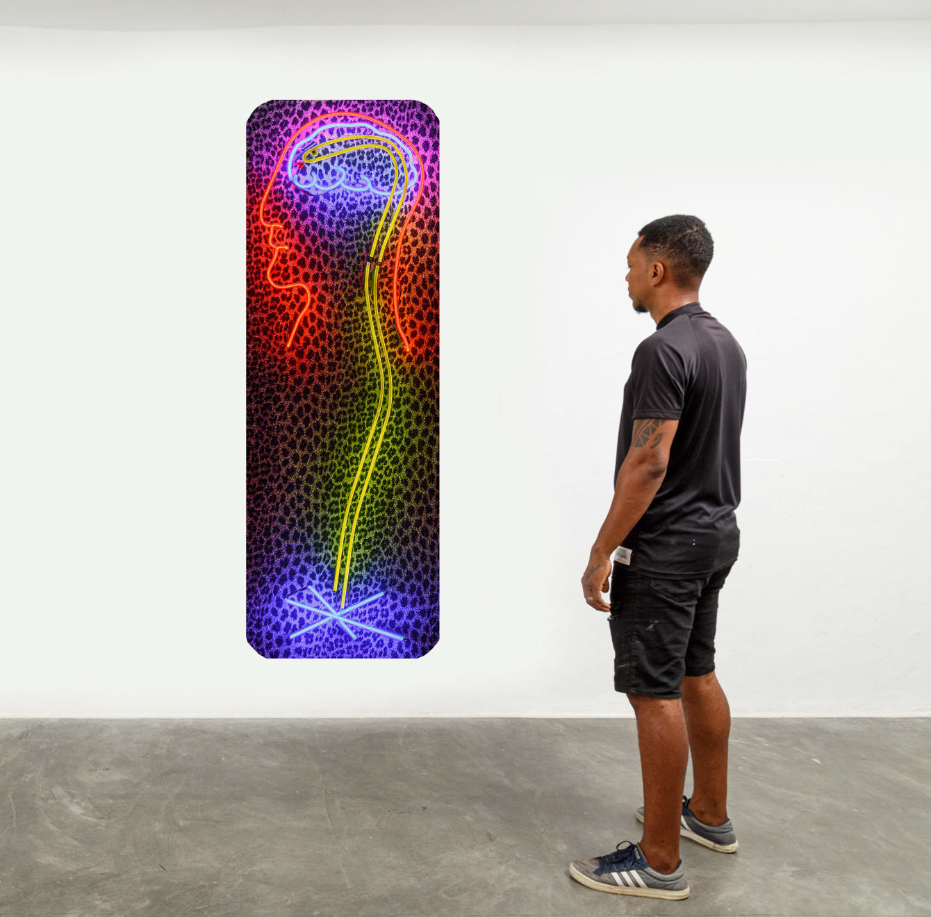 Cabelo, Sem título [Untitled], 2012