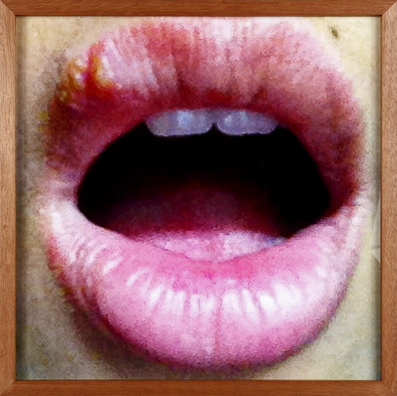 Aleta Valente, Sexy With Herpes, 2019