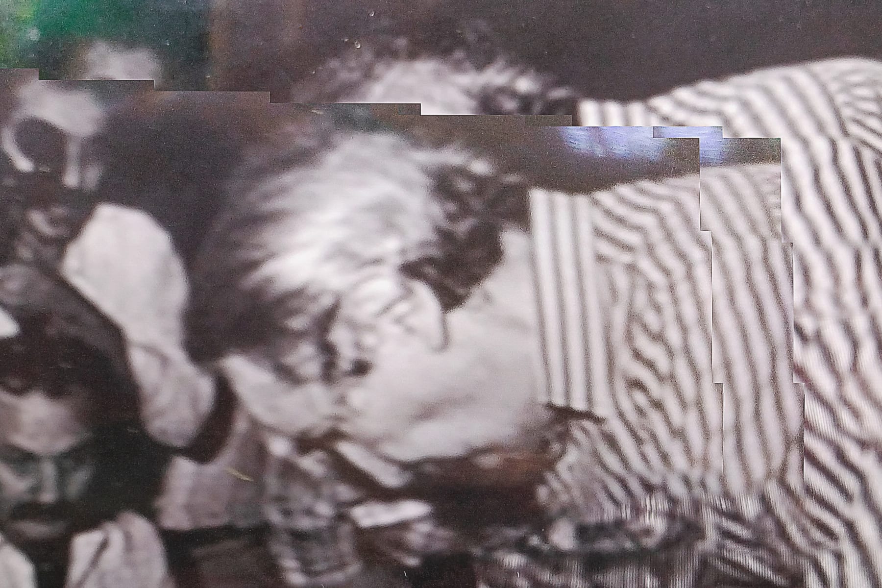 Jarbas Lopes, Foto Fogo, 2023