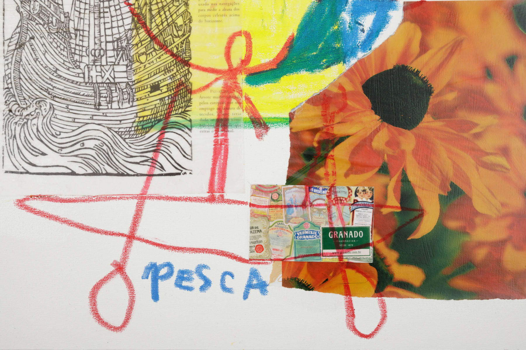 Denilson Baniwa, Pescaria, 2022