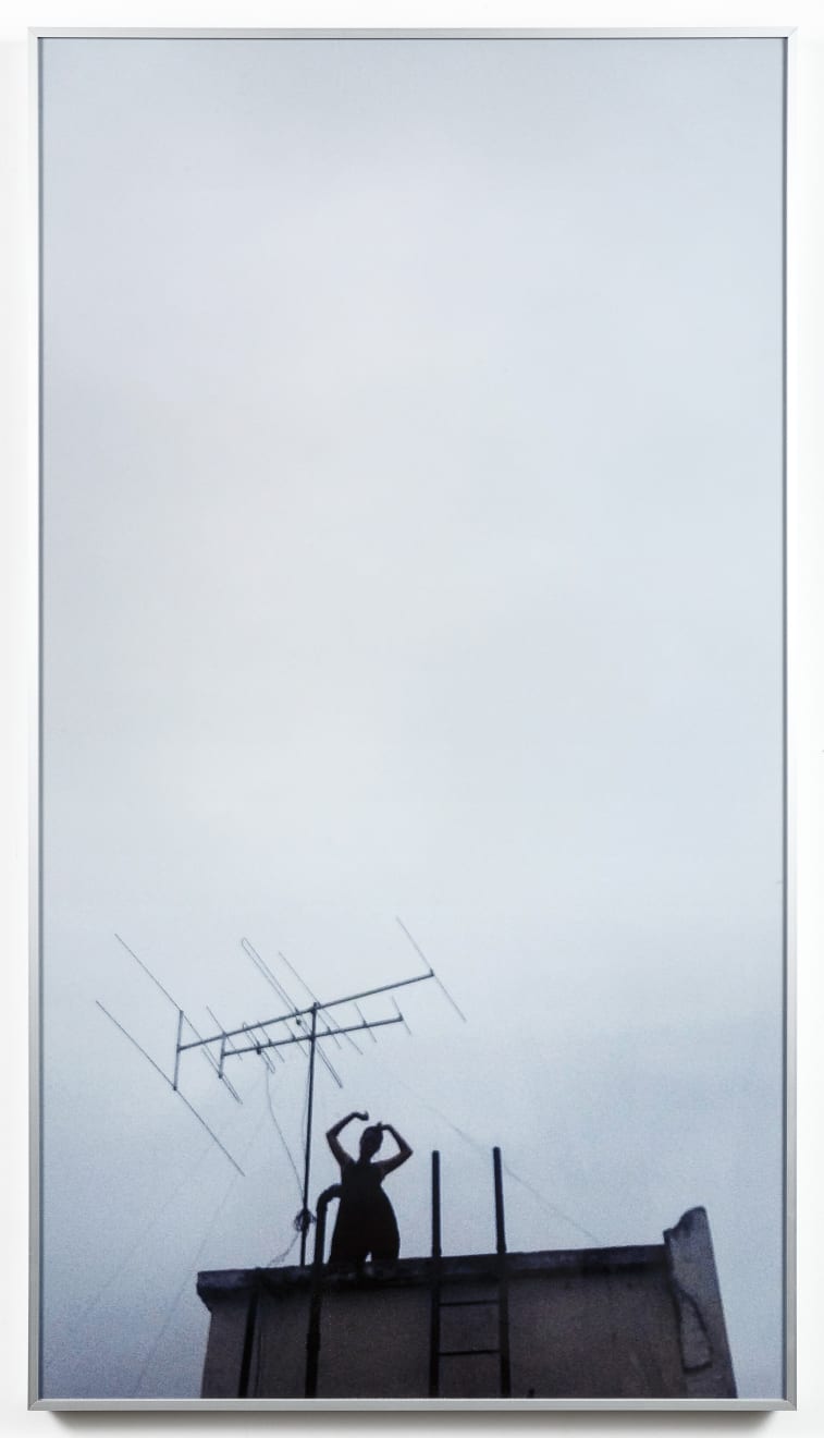 Aleta Valente, Pararraia, 2015