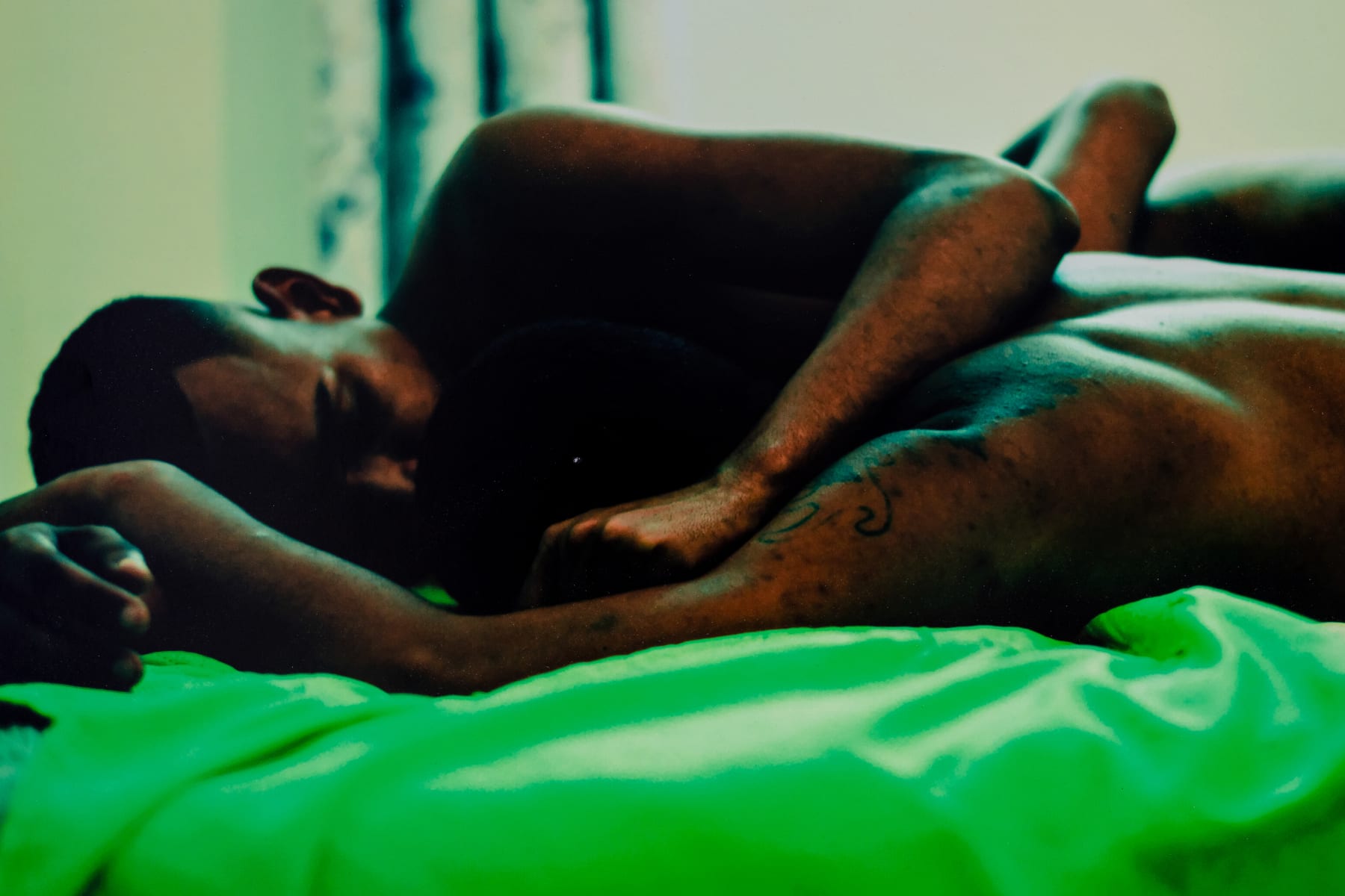 ABRE ALAS #17, Paulo Jorge Gonçalves, osPRIMOS, 2019