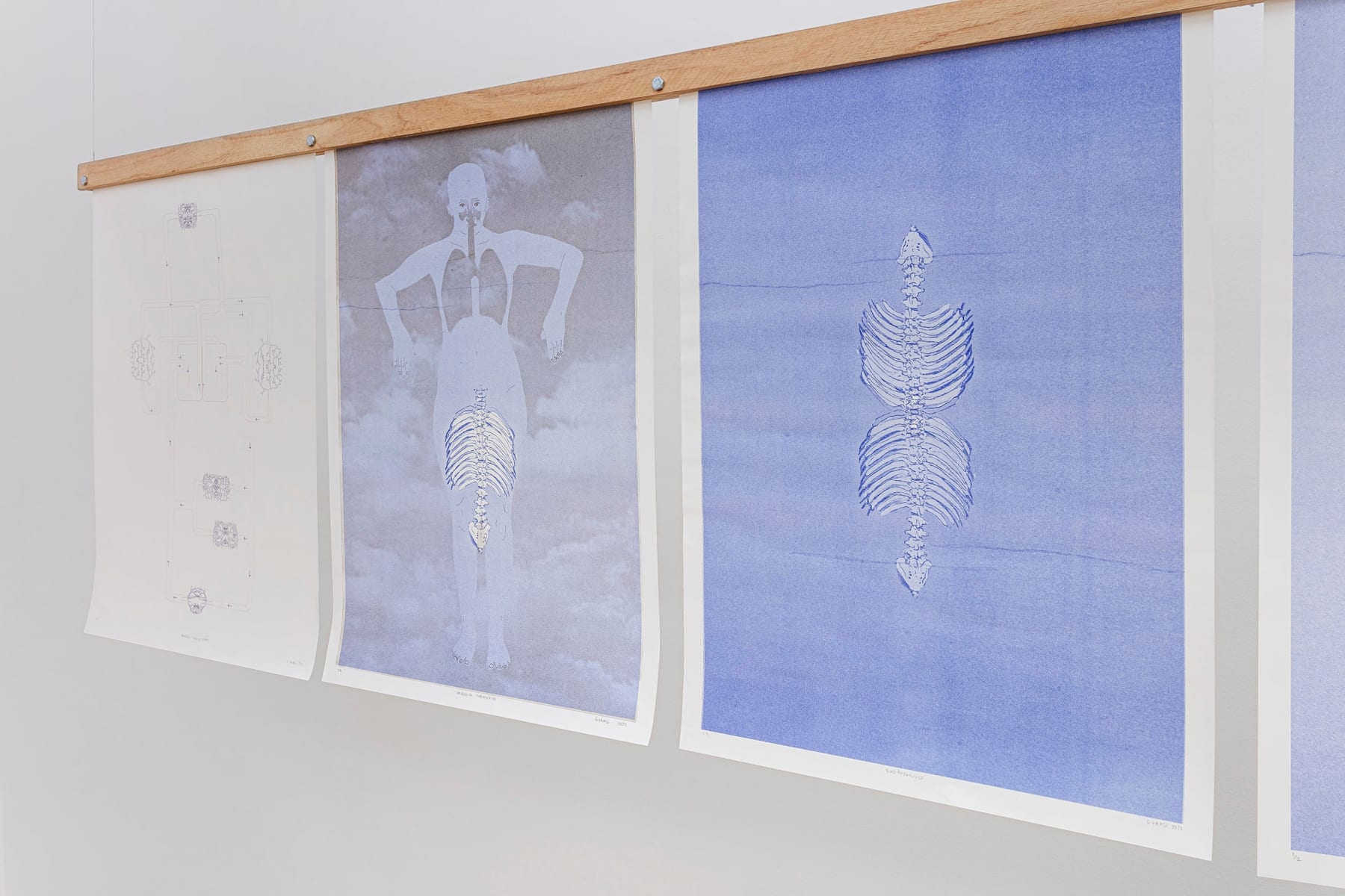 ABRE ALAS #18, Genietta Varsi, Raízes que batem no céu (1), 2022