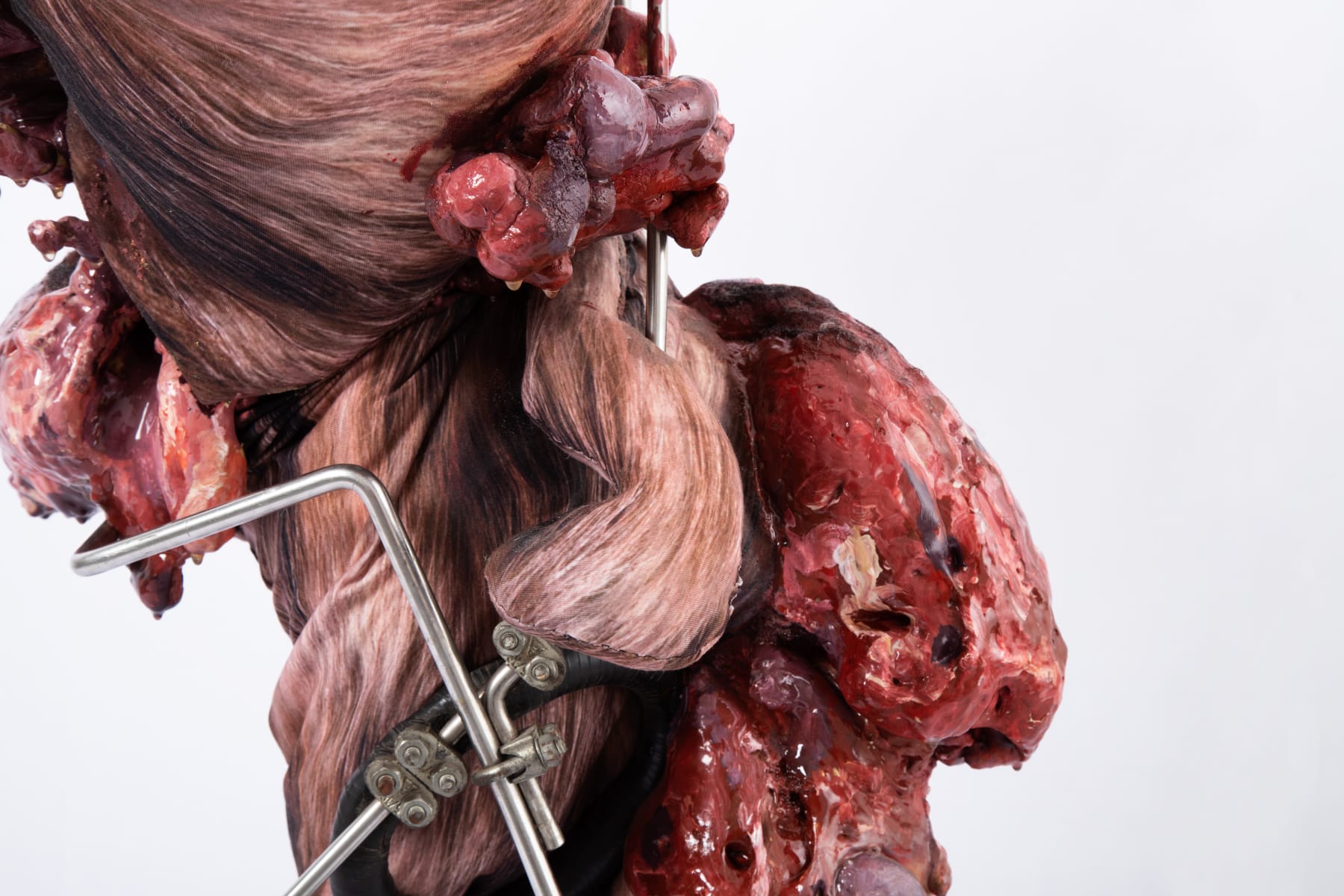 ABRE ALAS #17, ANNA, Explosão Cadelinha, 2019