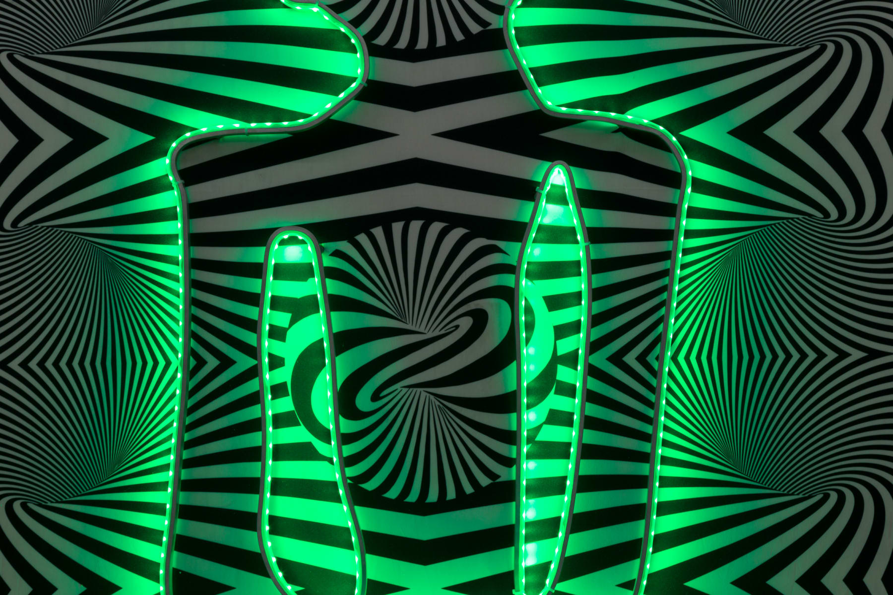 Cabelo, Op Yogi, 2020