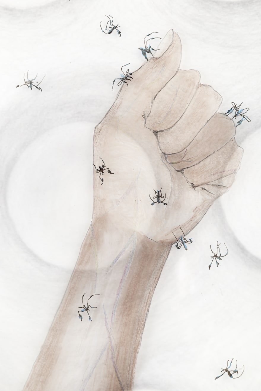 Vivian Caccuri, Nova Imunidade Sabethes, 2019