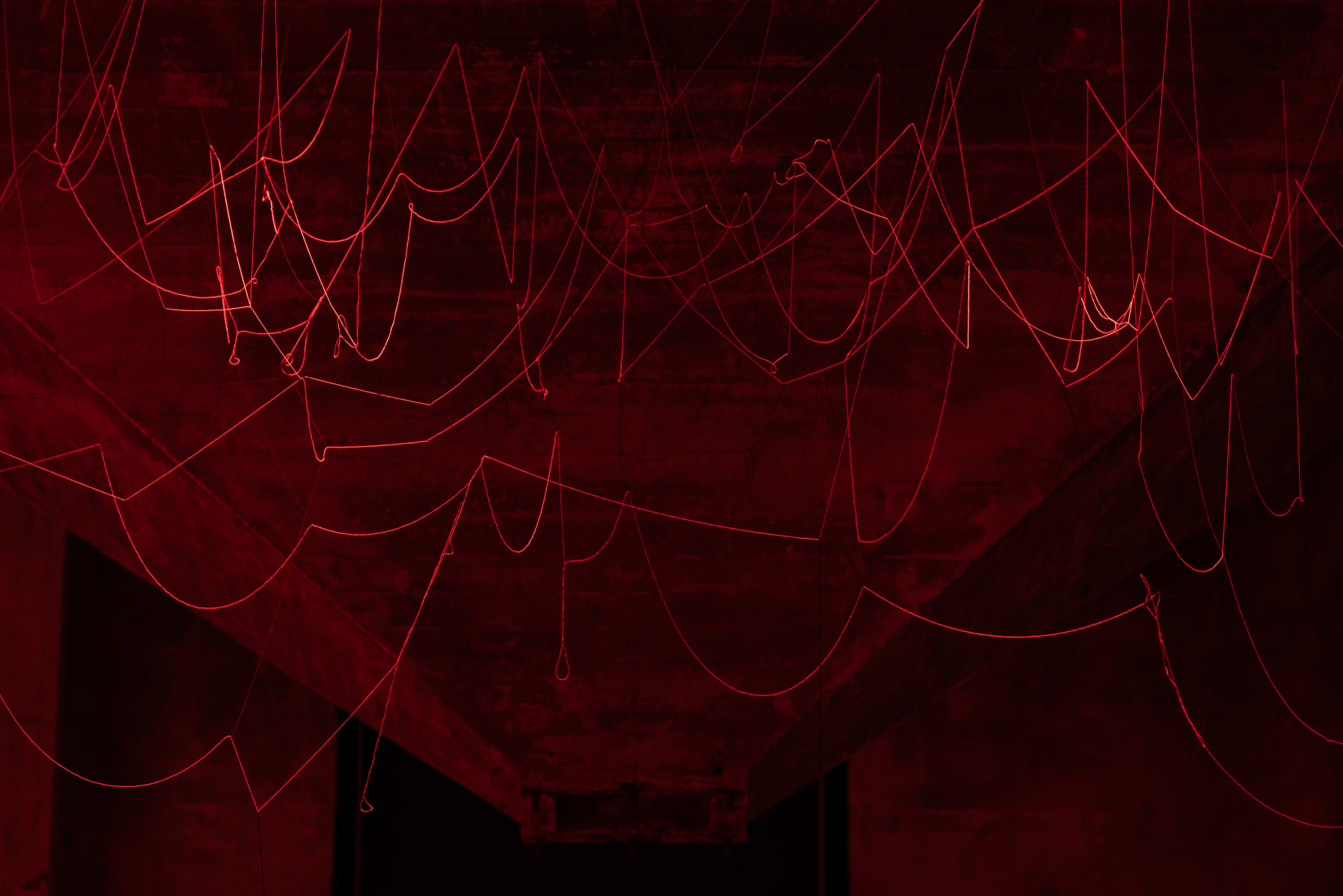 Vivian Caccuri, Transplante de Alma [A Soul Transplant], 2019