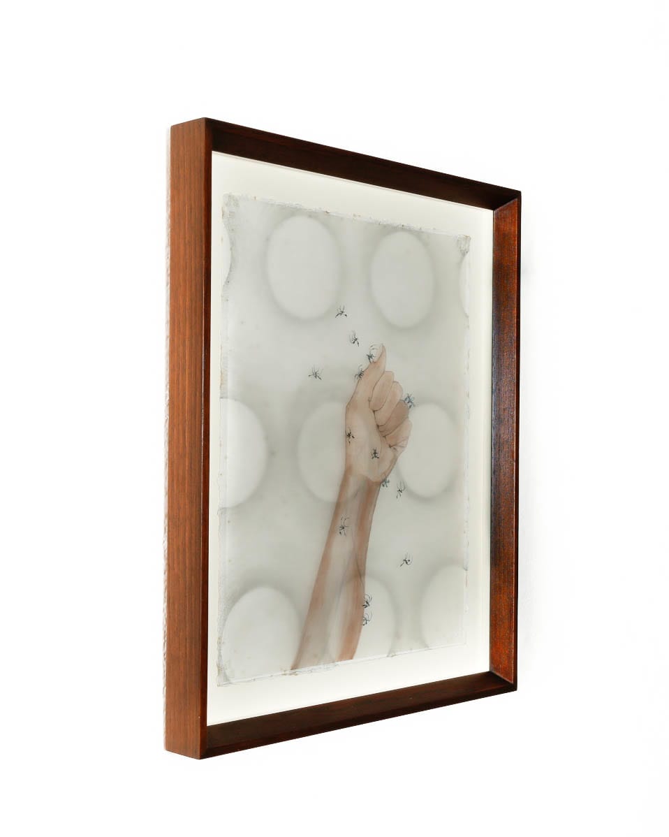 Vivian Caccuri, Nova Imunidade Sabethes, 2019