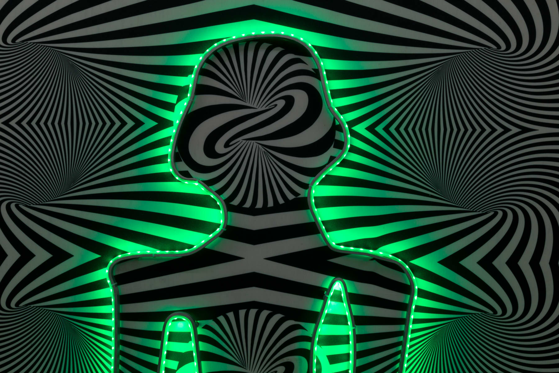 Cabelo, Op Yogi, 2020