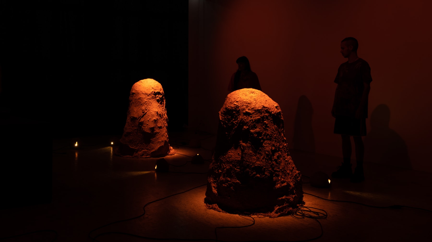 Sallisa Rosa, Negative Entropies, 2022