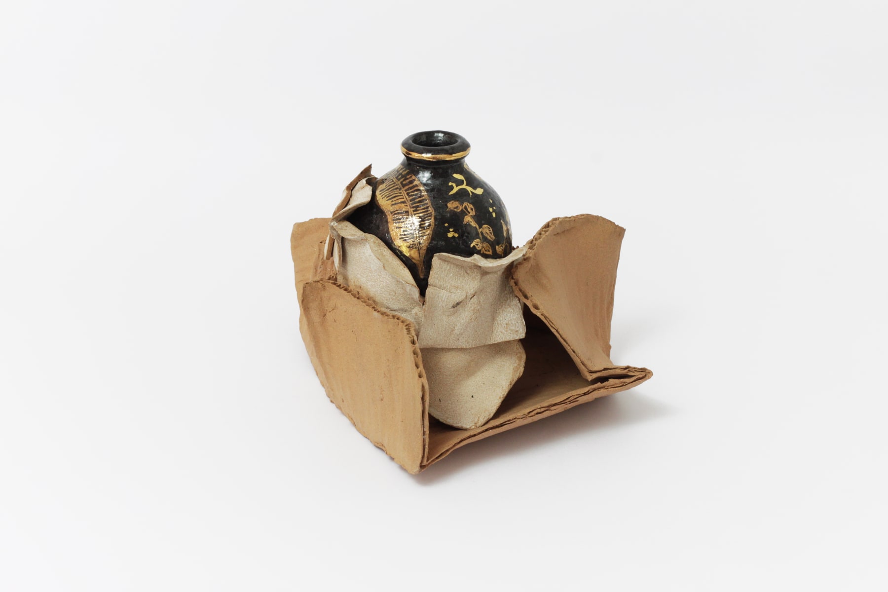 Rodrigo Torres, Novas descobertas, 2019