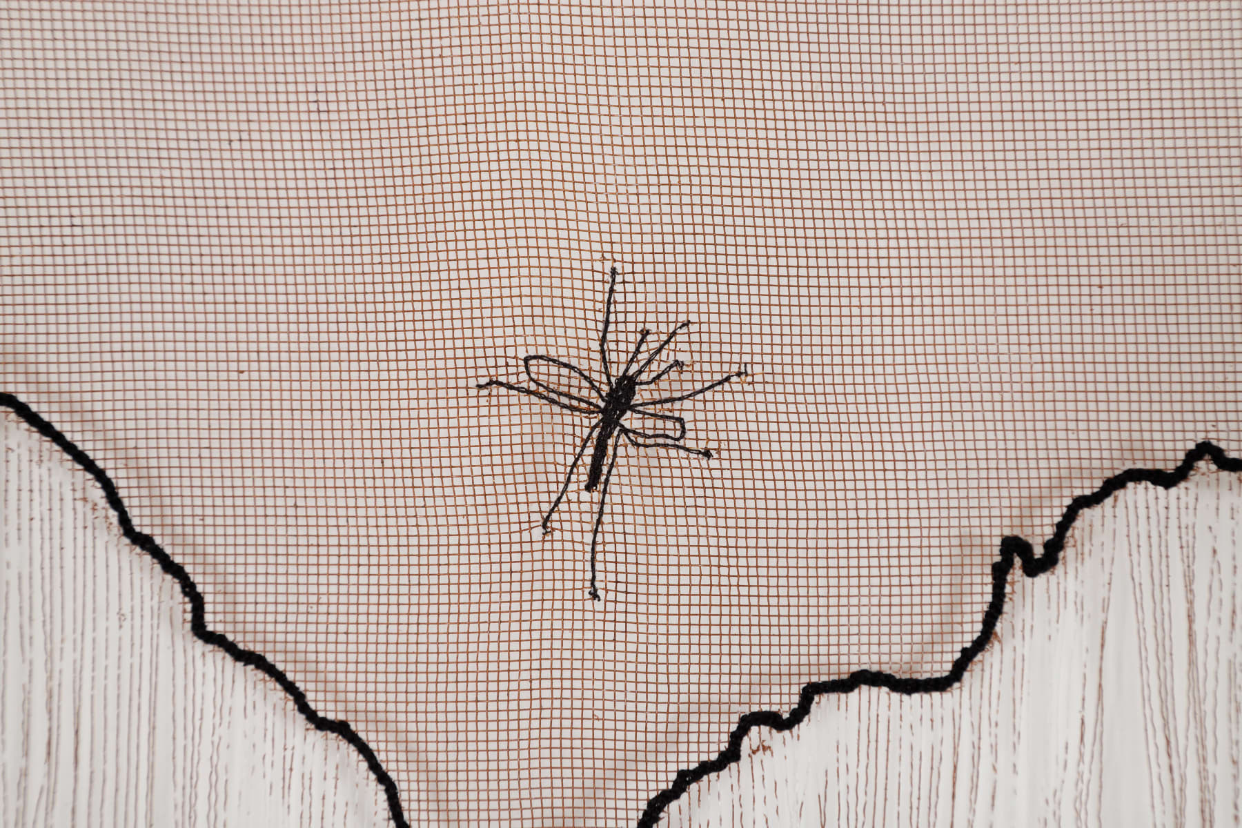 Vivian Caccuri, Descompressão Mosquito, 2023