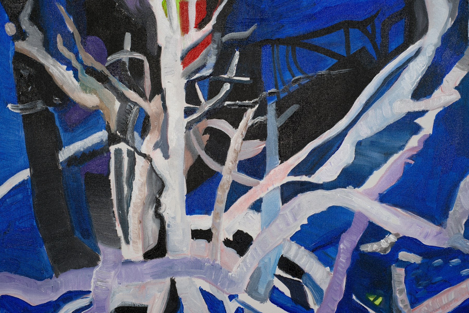 Cibelle Arcanjo, Cruzeiro do Sul [Southern Cross], 2021