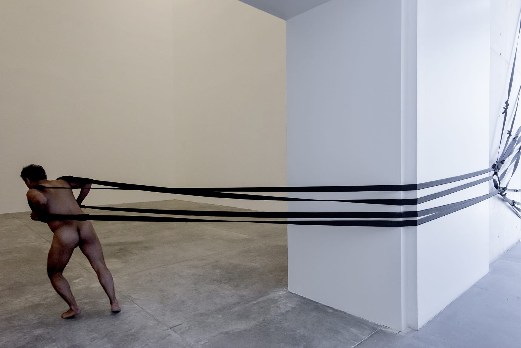 Laura Lima, Puxador Paisagem (H=c/M=c), 1994/2018