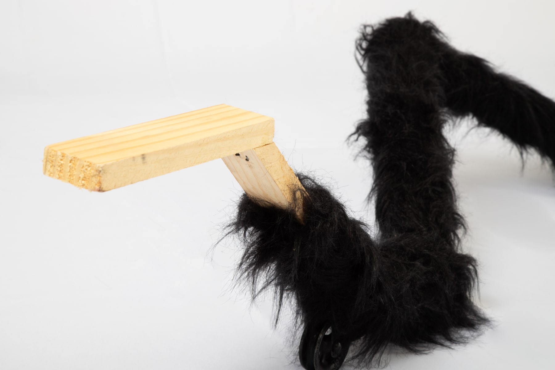 ABRE ALAS #17, Renan Soares, sem título [untitled], 2021