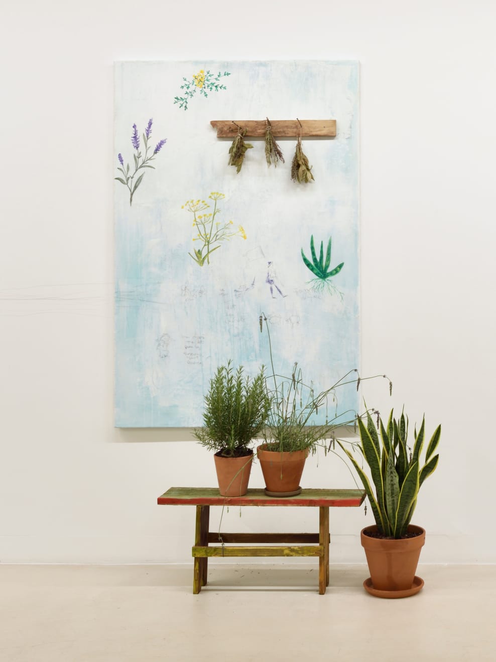 Rose Afefé, Ma mère m’a dit que les sorcières sont bonnes, 2025