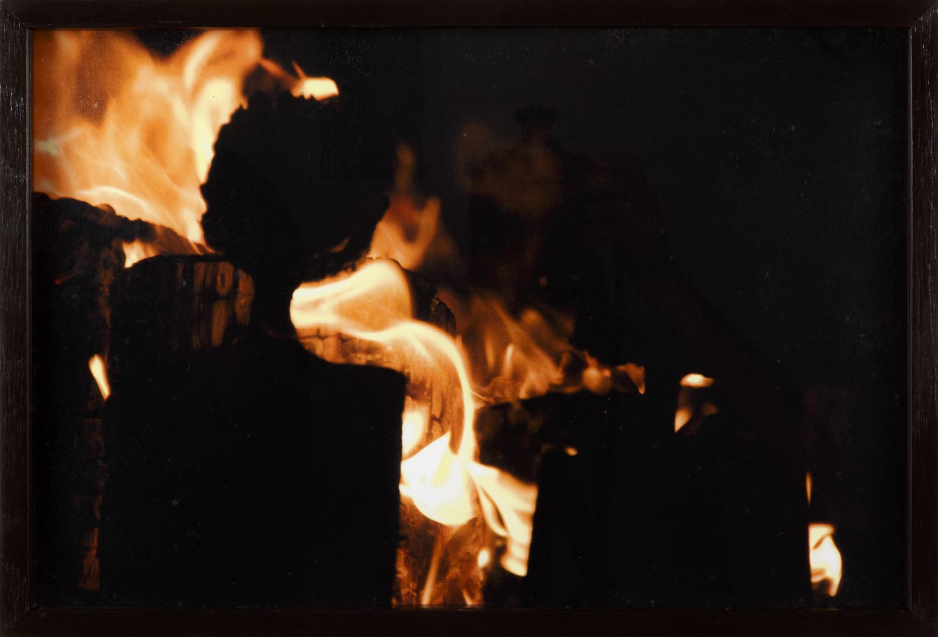 José Bento, Iracema, 2013