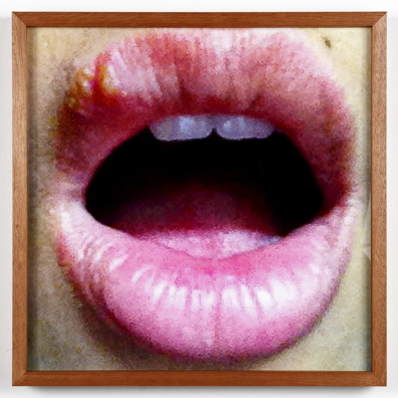 Aleta Valente, Sexy With Herpes, 2019