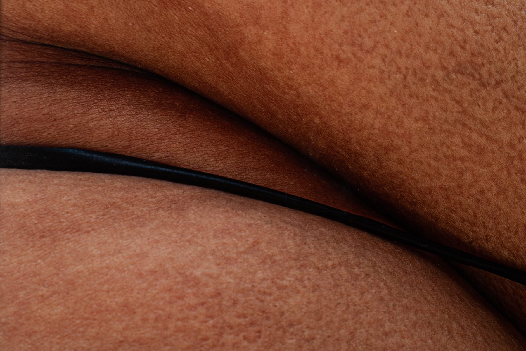 Agrade Camíz, Após a Curva Vire à Esquerda, 2023