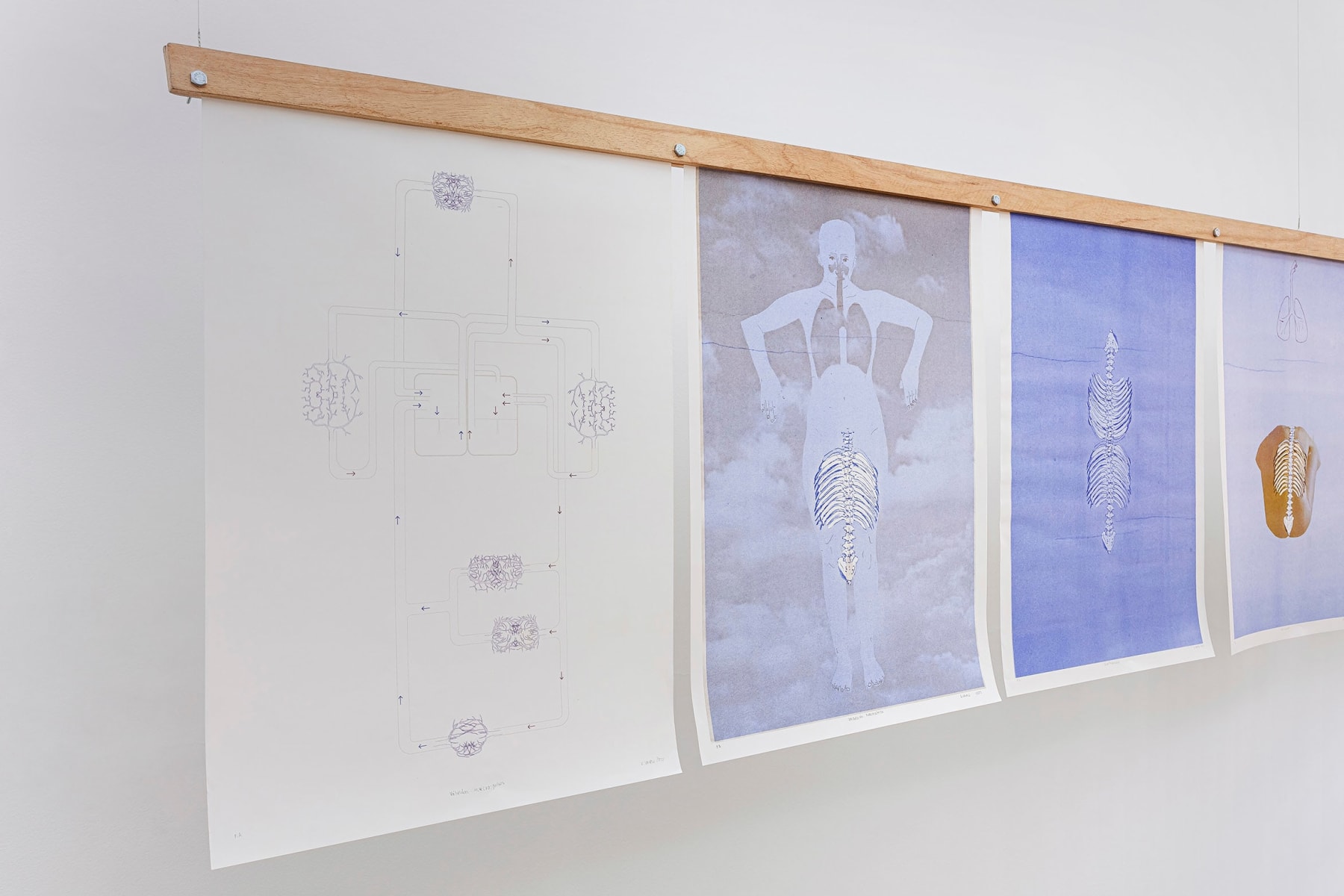 ABRE ALAS #18, Genietta Varsi, Raízes que batem no céu (1), 2022