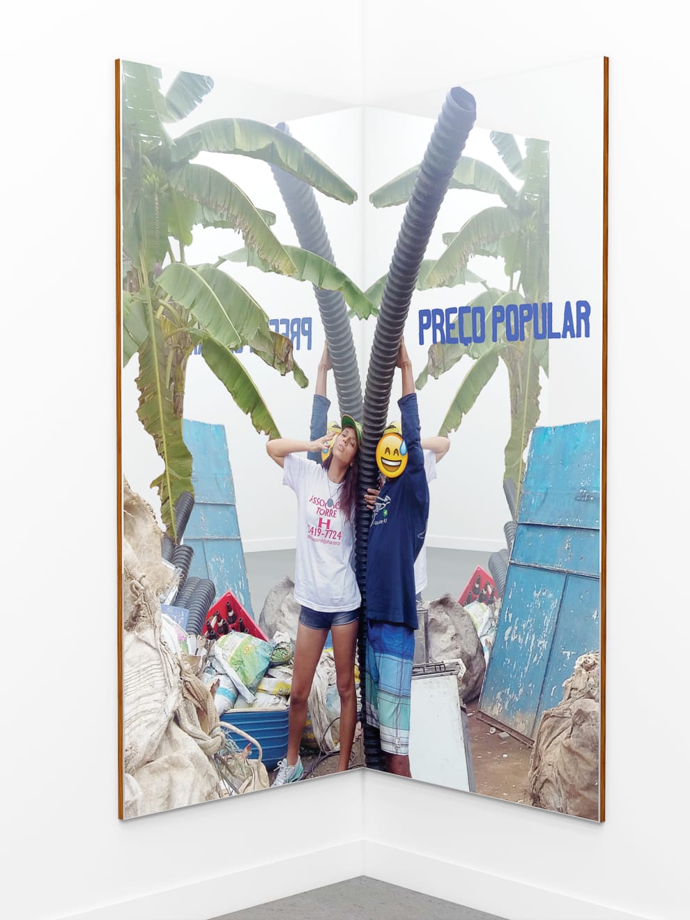 Aleta Valente, Dupla Exposição (Preço Popular 2), 2020