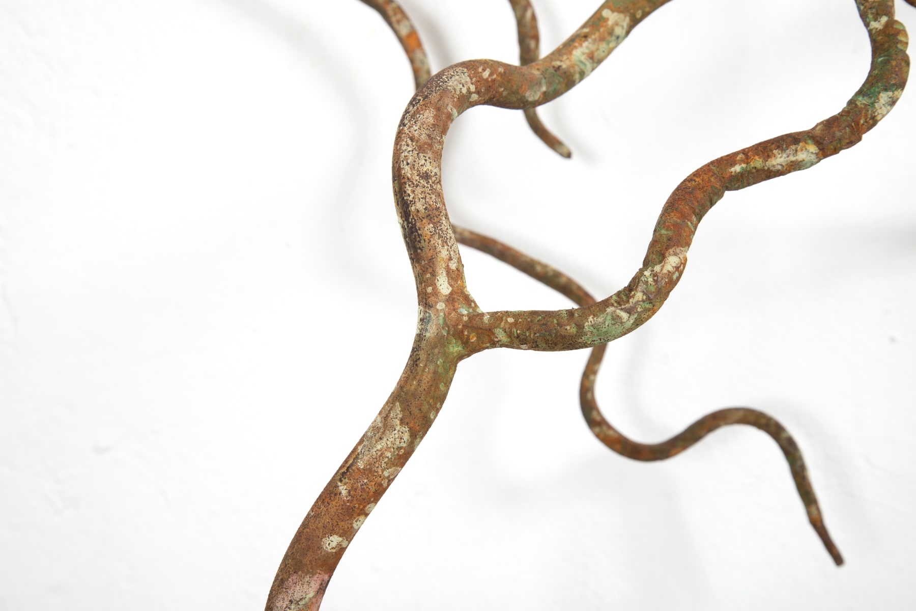 Rodrigo Torres, Vida na terra, 2022