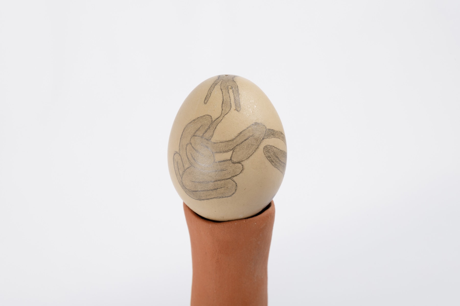 ABRE ALAS #18, Mônica Coster, Esôfago, 2021