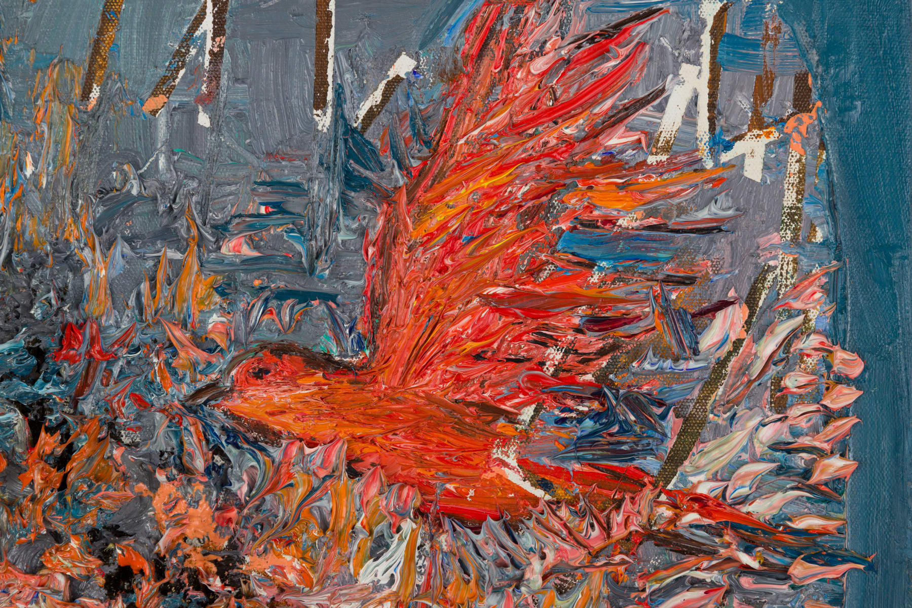 Vinicius Gerheim, Casal de sanhaço de fogo, 2024