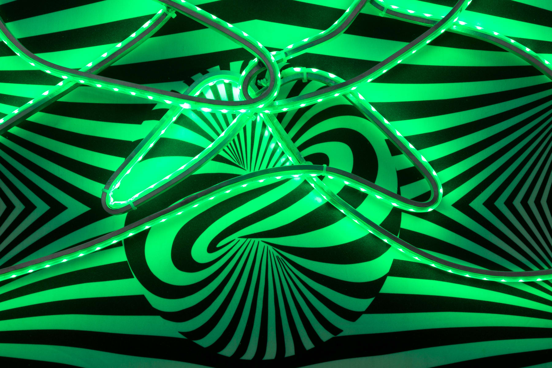 Cabelo, Op Yogi, 2020