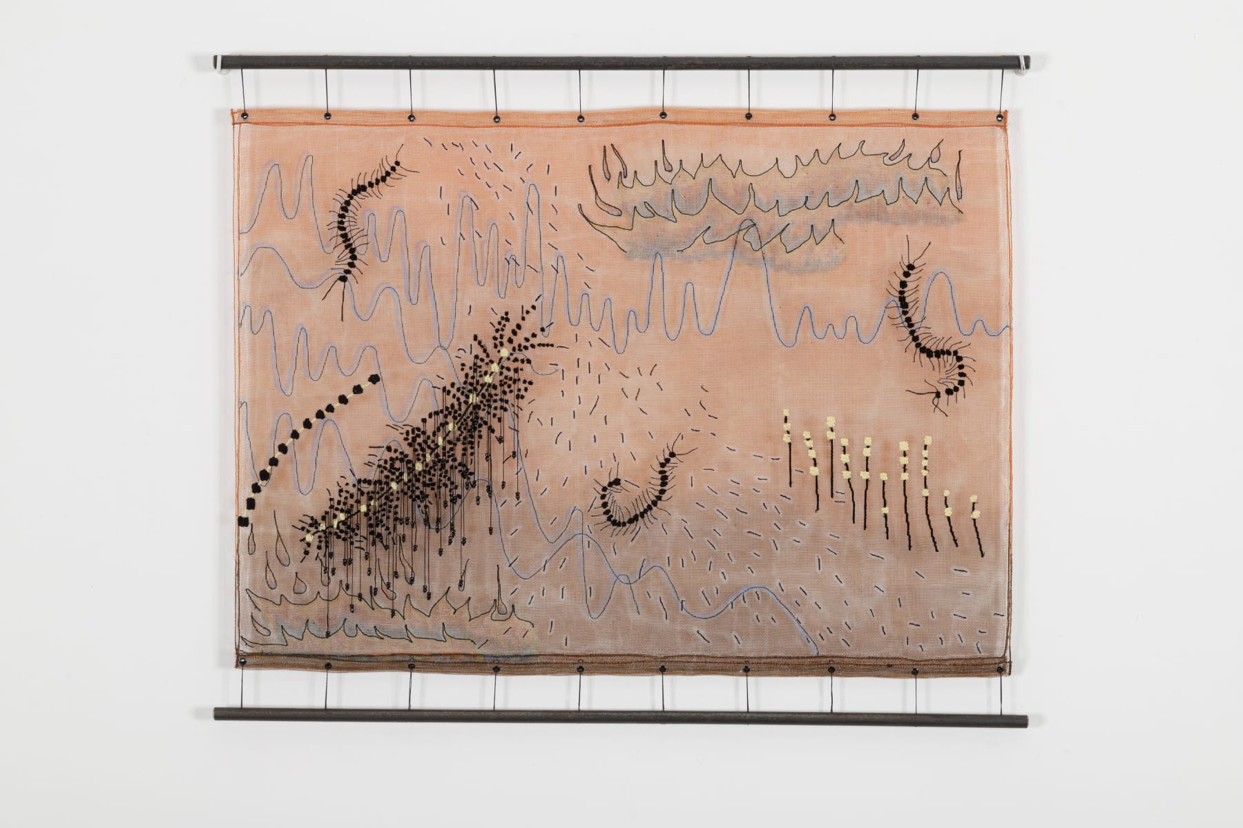 Vivian Caccuri, Lacraia 1, 2022