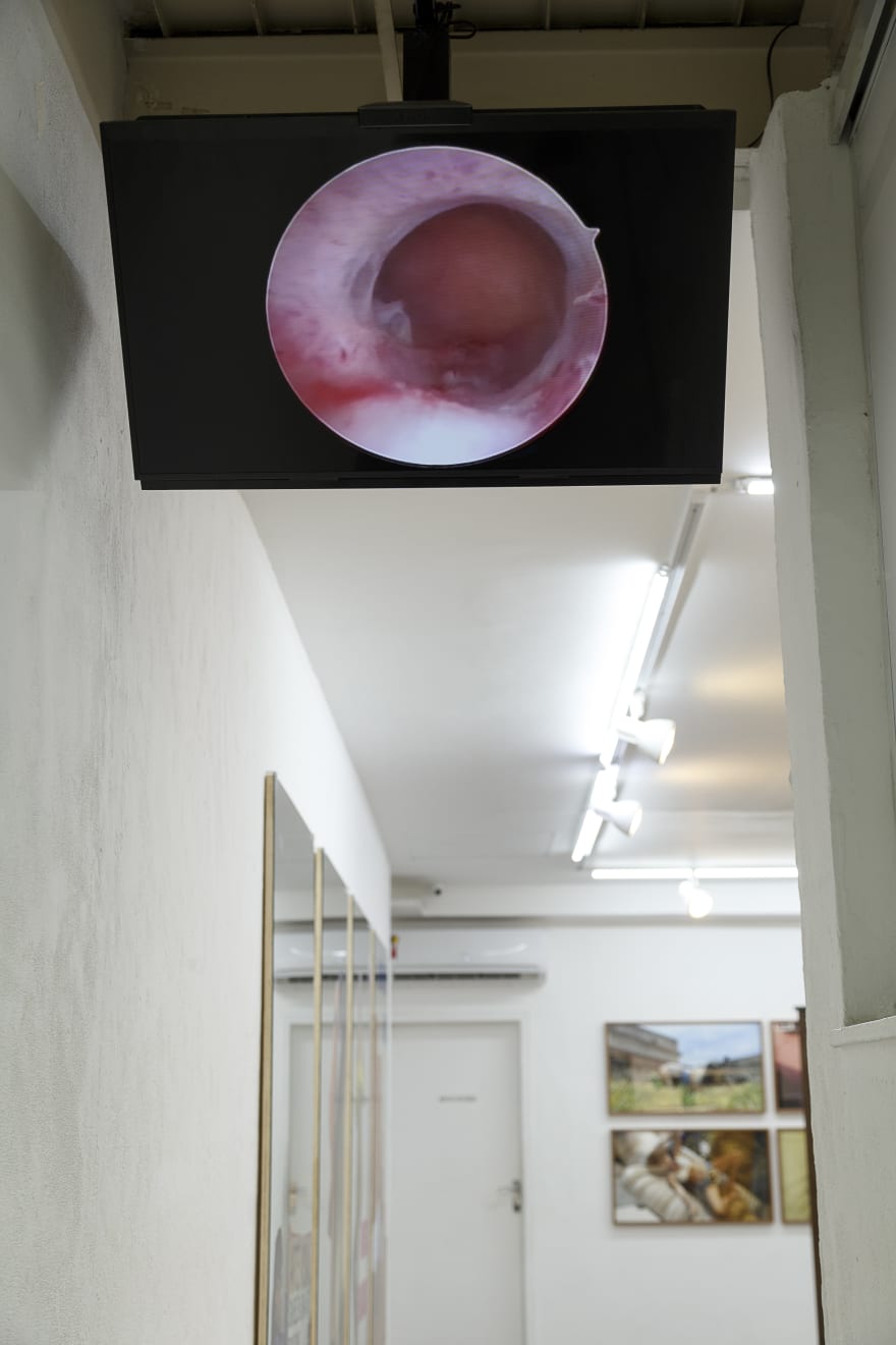 Aleta Valente, Cam Girl, 2019