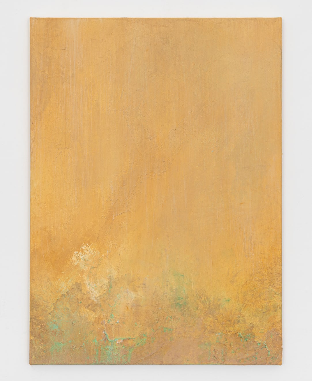 Rose Afefé, Parede úmida, 2024