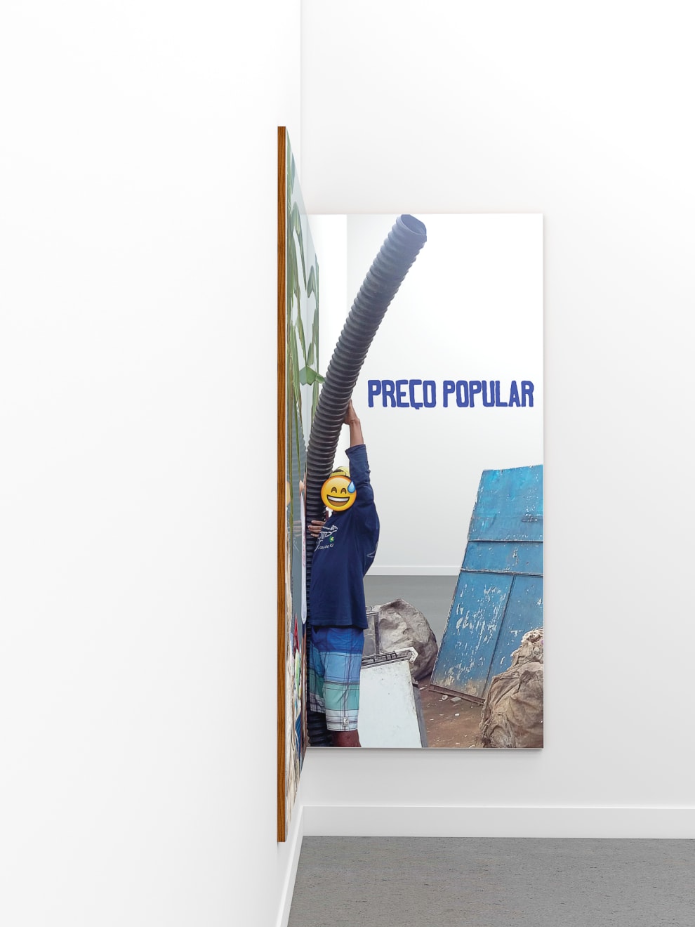 Aleta Valente, Dupla Exposição (Preço Popular 2), 2020