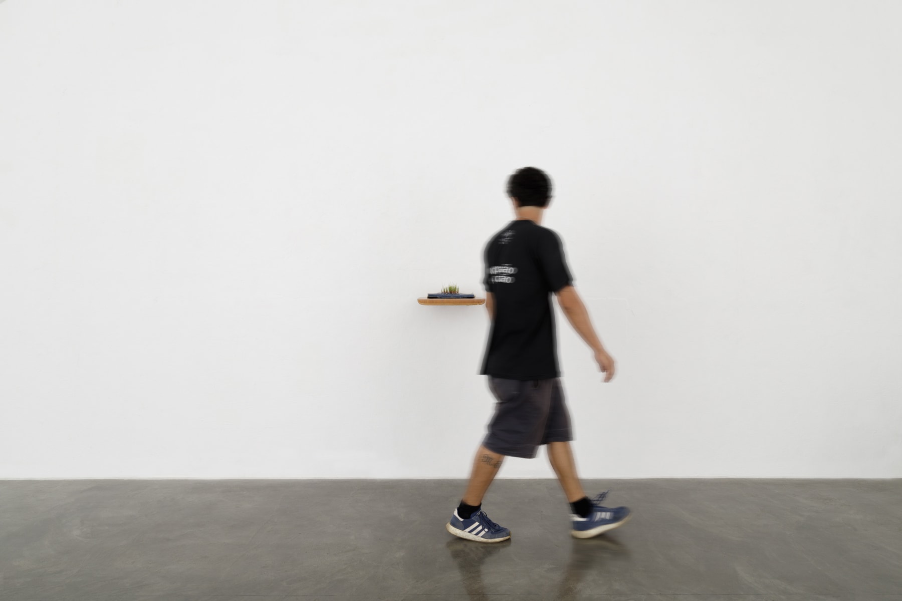 ABRE ALAS #18, Alexandre Paes, Culturas Improváveis, 2021