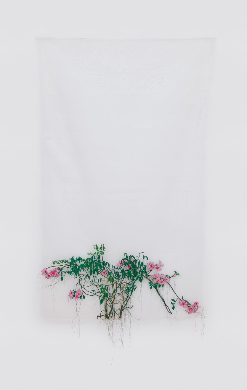 Ana Silva, sem título [untitled], 2023