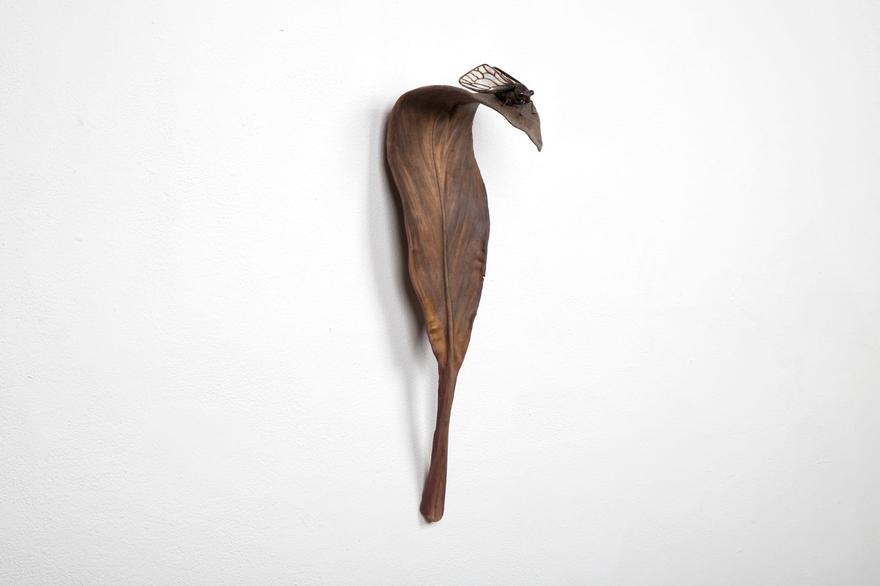 Rodrigo Torres, Da seiva ao canto, 2022